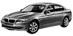 BMW F10 P1630 Fault Code